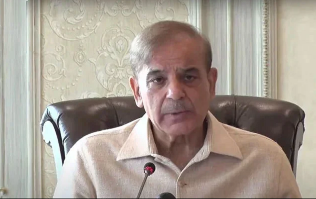 Alleged audio tape of PM Shehbaz about import of plant from India surfaces