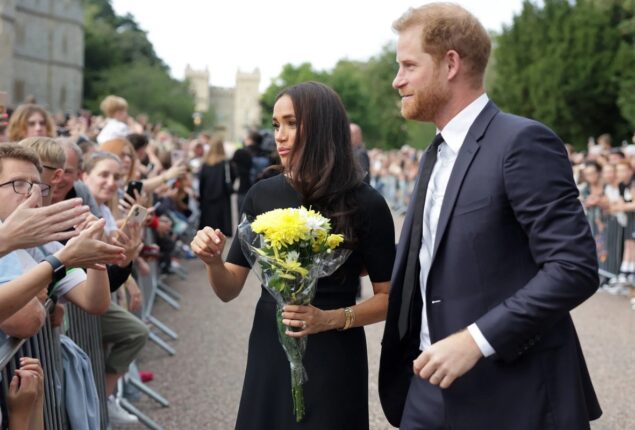 Meghan Markle was unsure but not rude at Windsor walkabout