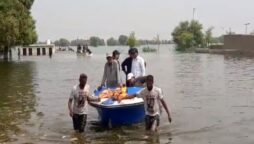 Sindh CM boat