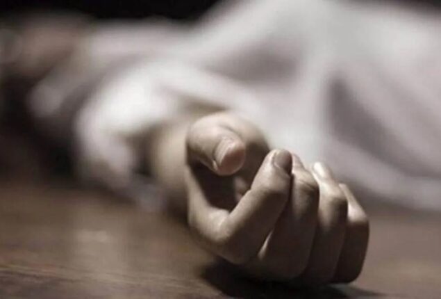 Journalist Ayaz Amir’s son allegedly kills his wife