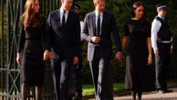 Prince William and Prince Harry stunned royal followers by walking alongside one other