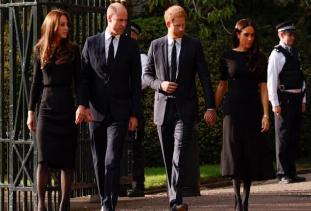 Prince William and Prince Harry stunned royal followers by walking alongside one other