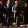 Prince William and Prince Harry stunned royal followers by walking alongside one other