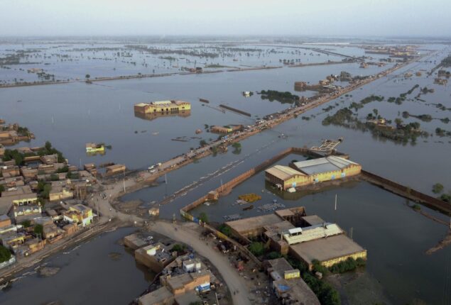 Govt to launch ‘Digital Flood Dashboard’ for transparency in relief activities