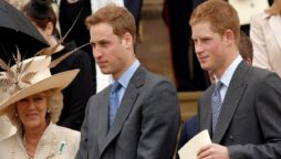 Prince William and Prince Harry reportedly dislike Camilla