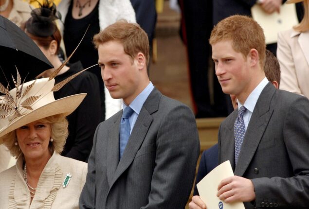 Prince William and Prince Harry reportedly dislike Camilla
