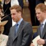 Prince William and Prince Harry reportedly dislike Camilla