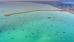 Sino-Pak scientists working to turn Gwadar’s sandy land into green