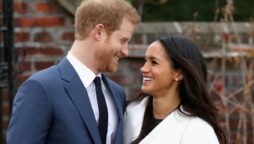 Prince Harry, a “vulnerable” man, appeals to Meghan Markle for help in escaping a “horror trap.”