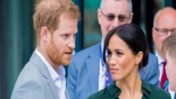 Brutal response from Meghan Markle and Harry following sensational security requests