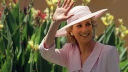 ‘Shocking’ statements from Camilla Parker when Princess Diana begged for her ‘husband’ Read