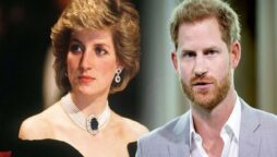 Royal analyst: Since Diana’s passing, Prince Harry has been through “emotional upheaval.”