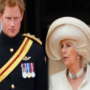 Due to “protocol adjustments,” Prince Harry must bow to Queen Consort Camilla