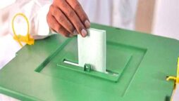 LG elections