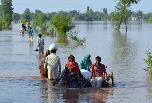 floods claim 19 more lives