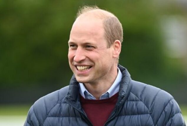 Prince William is honoured by Queen Elizabeth amid Meghan Markle and Harry’s visit to UK