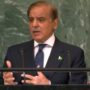 Pakistan paying dual cost of climate injustice, global inaction: PM tells UNGA