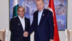 Shehbaz Sharif, President Erdogan discuss bilateral relations