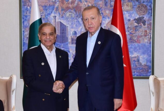 Shehbaz Sharif, President Erdogan discuss bilateral relations