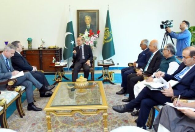 Int’l community’s vital support to overcome flood losses, PM tells French envoy