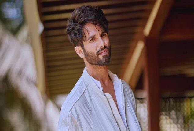 Shahid Kapoor makes startling remarks regarding the 2019 blockbuster Kabir Singh