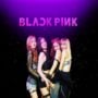 BLACKPINK new album ‘Born Pink’ sales reach a record high in the first day of release