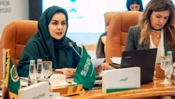 Saudi Arabia appoints the country’s first female human rights monitor