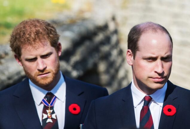Prince William totally ignores Prince Harry’s memoir