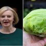 Lettuce outlasts Liz Truss in the salad days