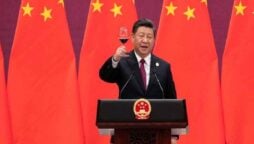 Xi economics views Chinese nationalism and authoritarianism as signs of a “happy life”