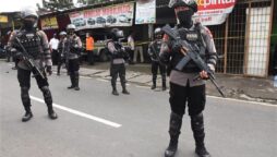 Gun-wielding woman detained outside the Indonesian presidential palace
