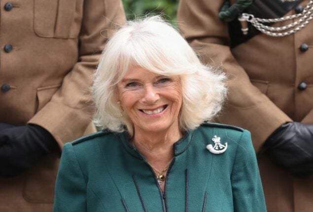 Camilla to reduce the number of employees in order to be “more up to date”
