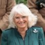 Camilla to reduce the number of employees in order to be “more up to date”