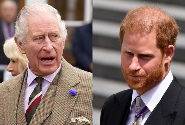 King Charles will not respond to Prince Harry’s assault