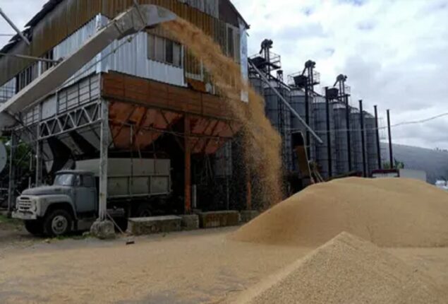 Russia-Ukraine war: Russia suspends grain transaction