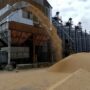 Russia-Ukraine war: Russia suspends grain transaction