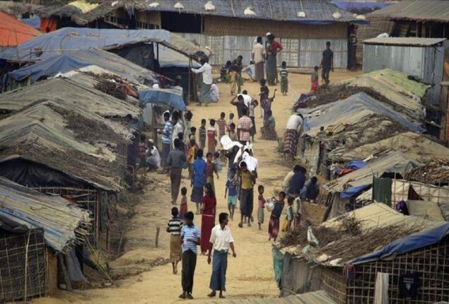 rohingya