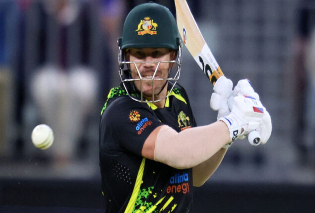 David Warner ban