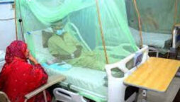 Woman dies of dengue fever in Umerkot