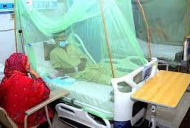 Woman dies of dengue fever in Umerkot