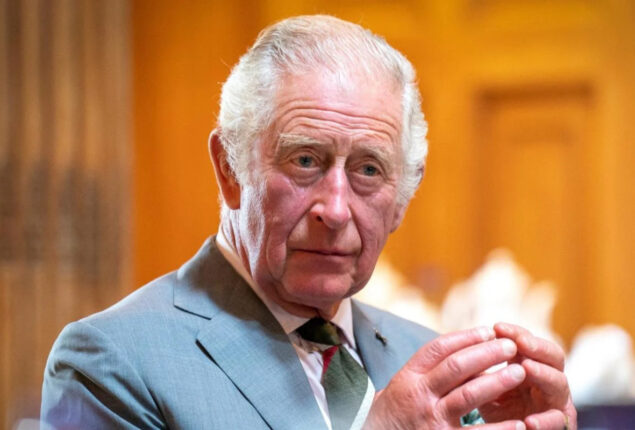 Palace issues statement on King Charles first state visit hosting next month