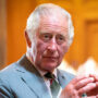 Palace issues statement on King Charles first state visit hosting next month