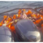 14 dies as 240-passenger Indonesian boat catches fire