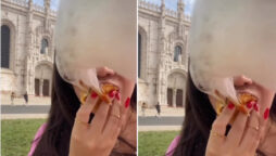 A seagull steals a woman's supper