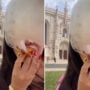 A seagull steals a woman’s supper