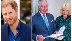 Harry’s explosive memoir will hurt Charles and Camilla