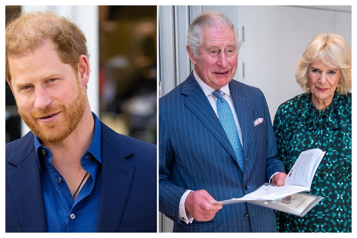 Harry's explosive memoir will hurt Charles and Camilla