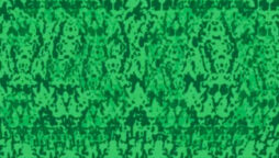 Optical Illusion: Only 2 of 10 find the hidden number in 11 seconds