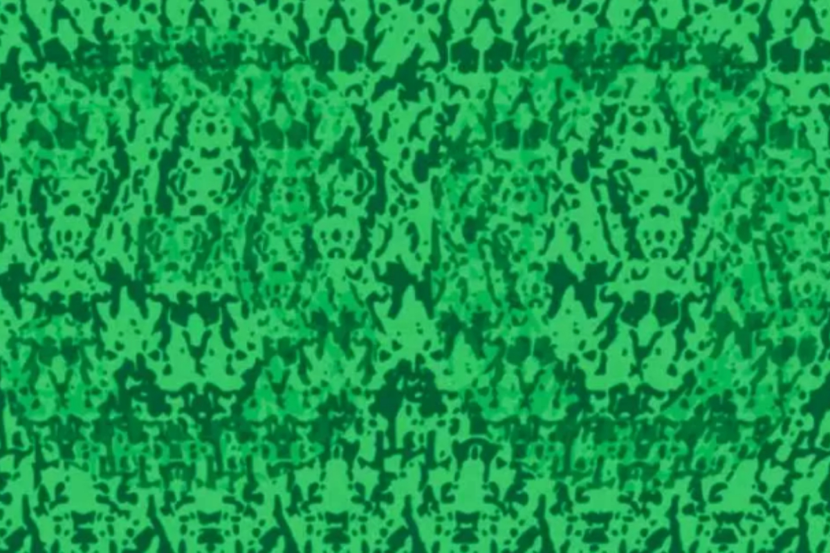 Optical Illusion