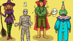 Brain Teaser: Find the Halloween Costume Party culprit in 9 seconds?